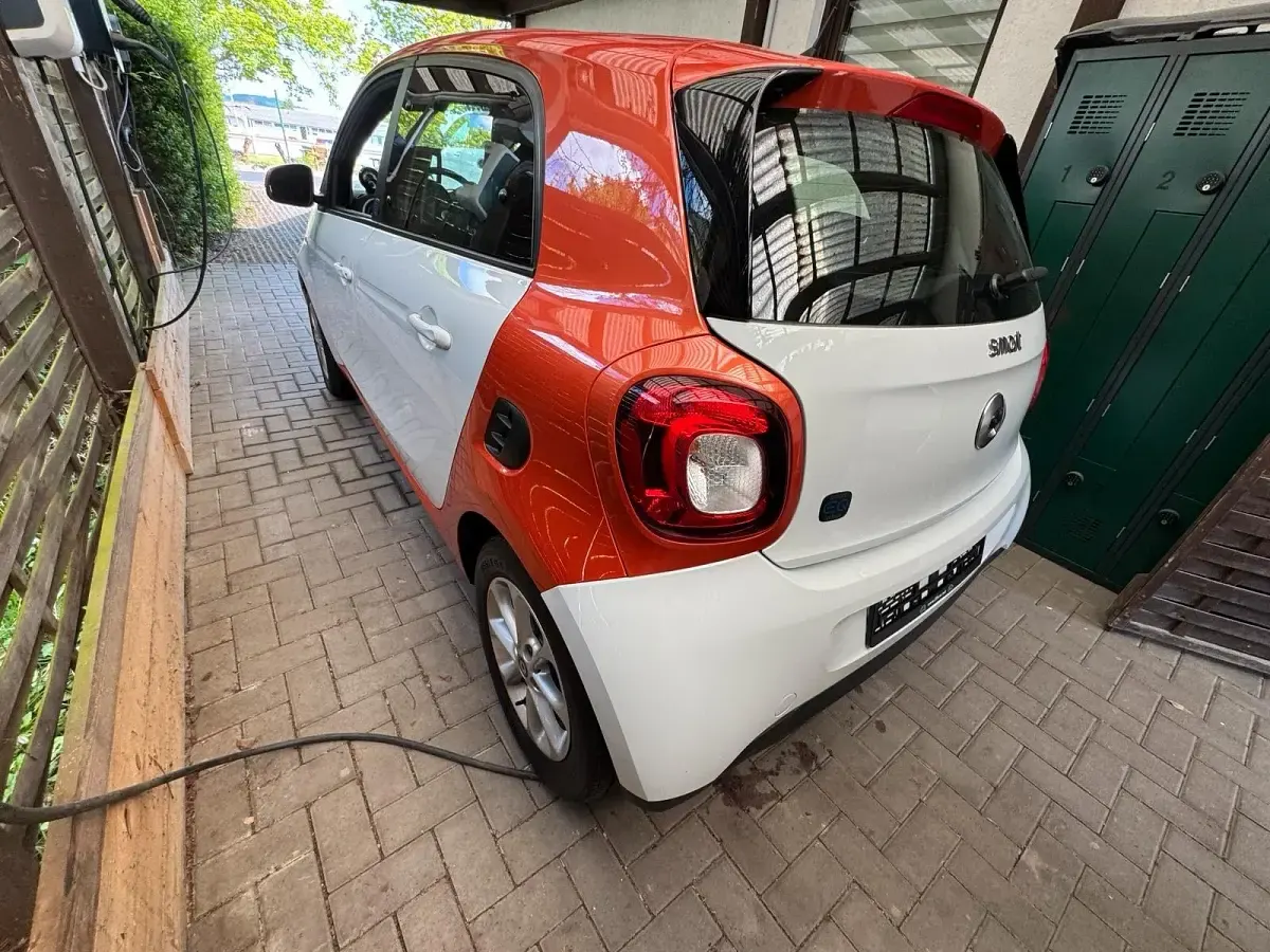 Gebraucht Smart ForFour Electric Drive 60 kW (82 PS) 2019 Weiß Kleinwagen