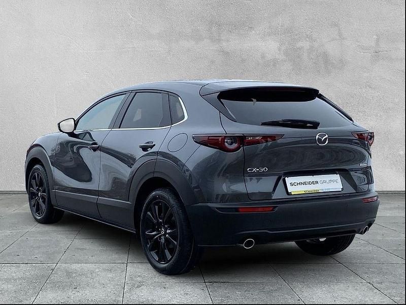 Neu Mazda CX-30 Nagisa 140 PS (102 kW) 2025 SUV