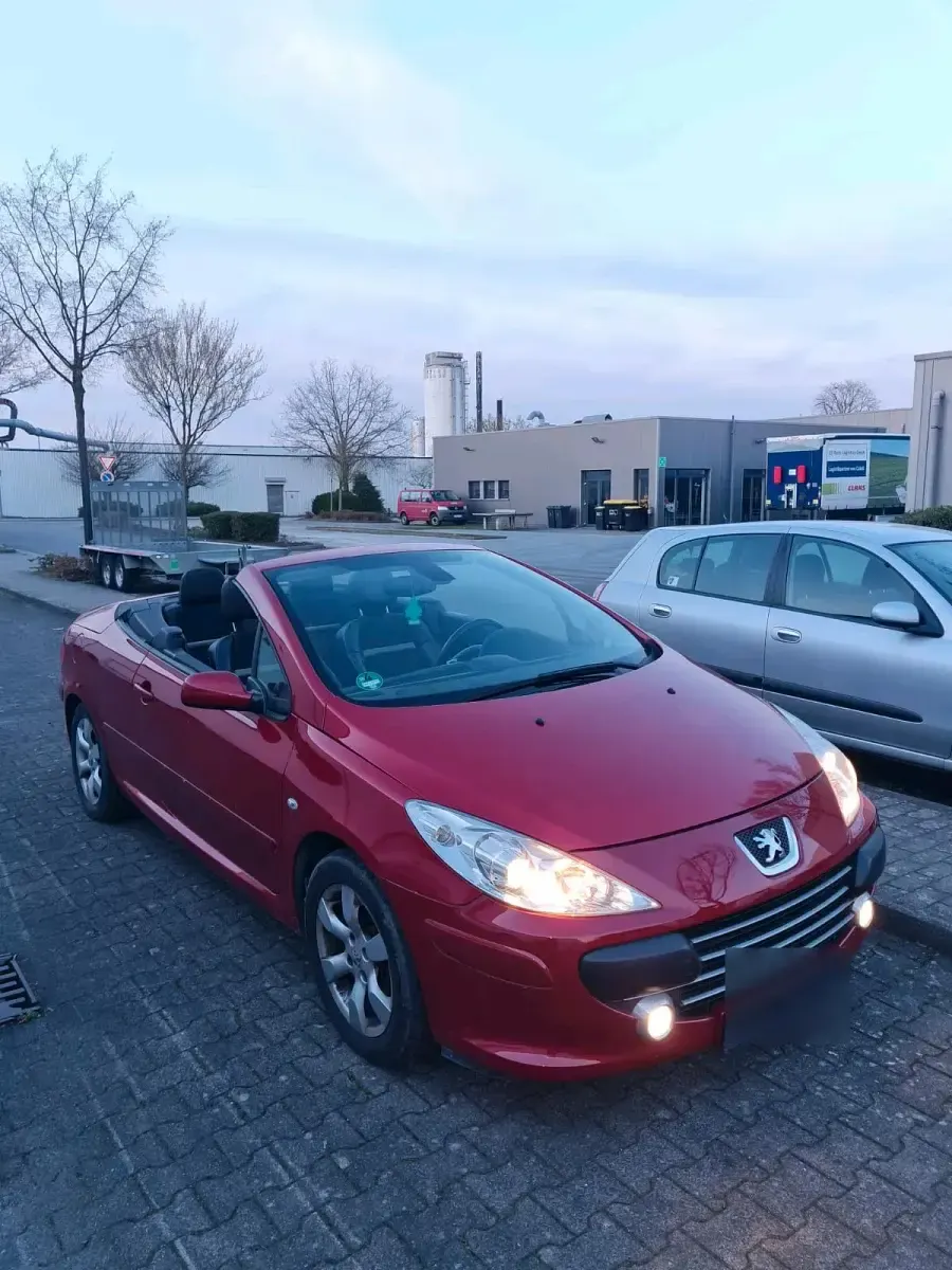 Gebraucht Peugeot 307 CC 140 PS (102 kW) 2007 Rot Cabrio