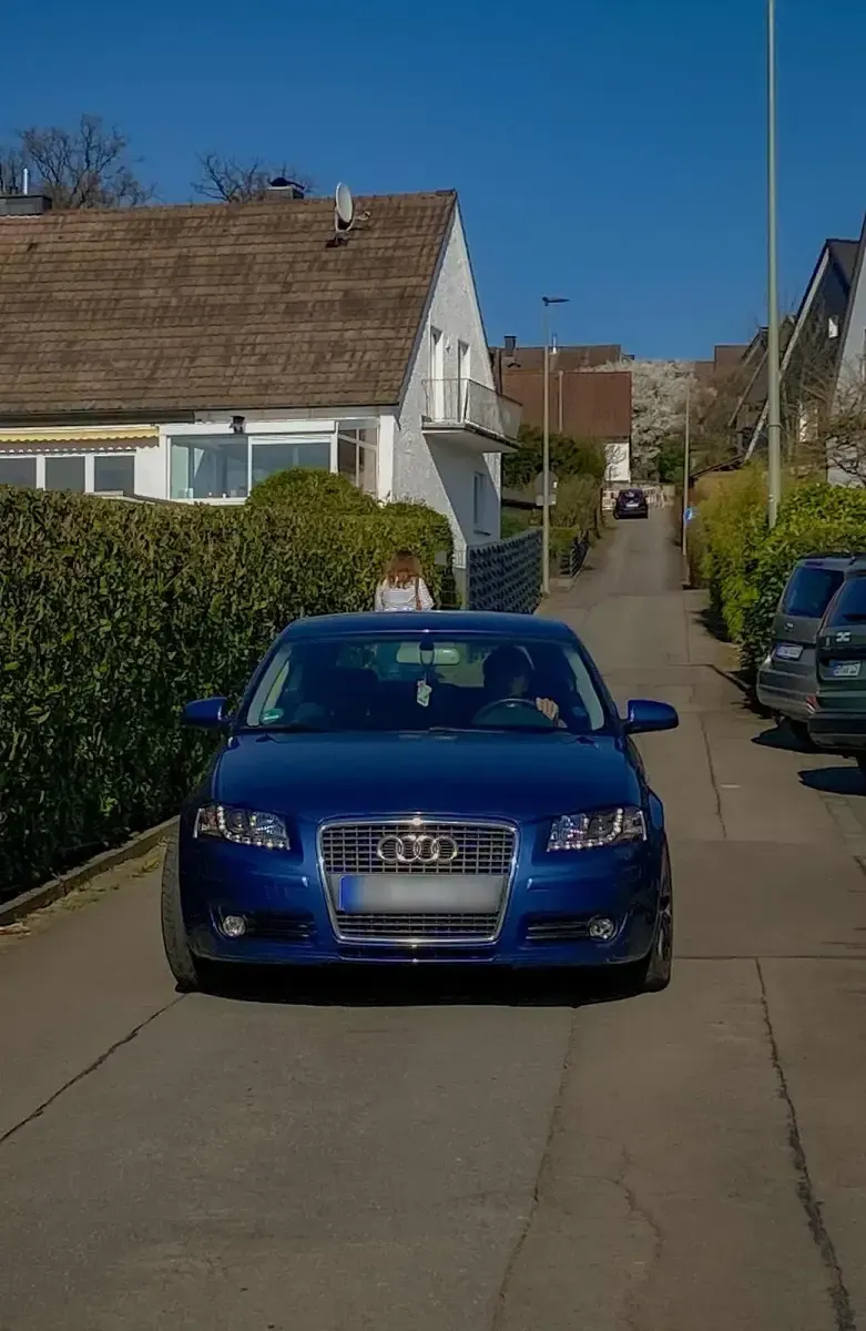 Gebraucht Audi A3 Basis 115 PS (84 kW) 2006 Kleinwagen