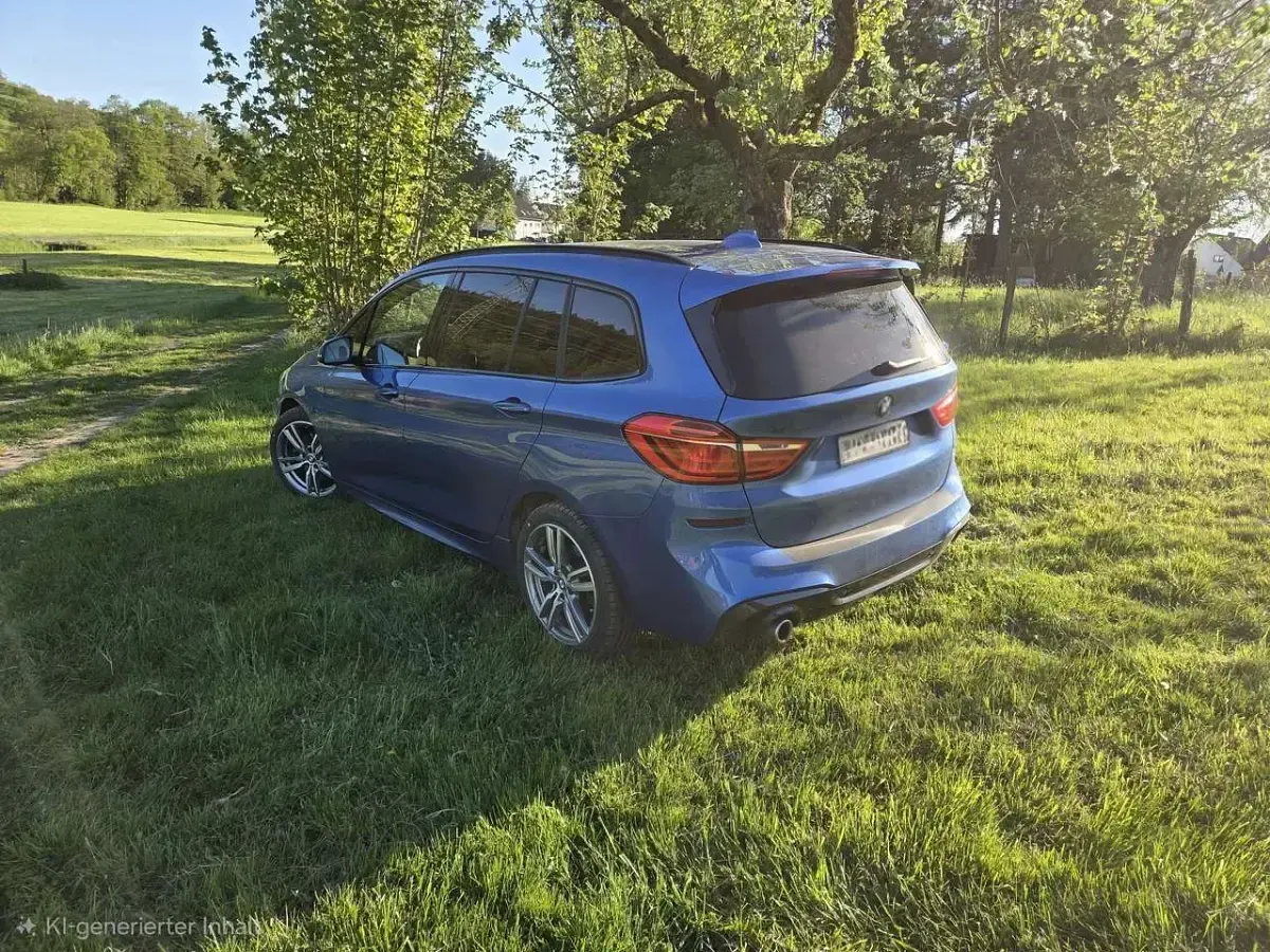 Gebraucht BMW 218 M Sport 140 PS (102 kW) 2019 Blau Van / Kleinbus