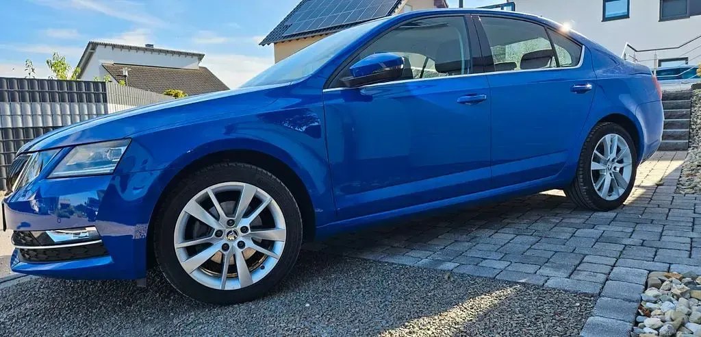 Gebraucht Skoda Octavia Style 116 PS (85 kW) 2019 Blau Limousine