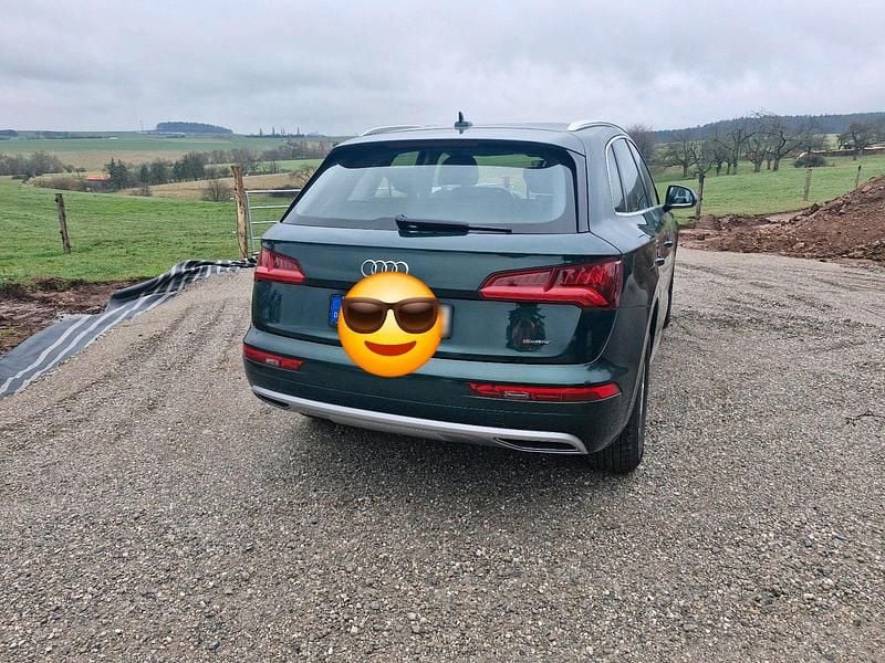 Gebraucht Audi Q5 190 PS (139 kW) 2018 Grün SUV