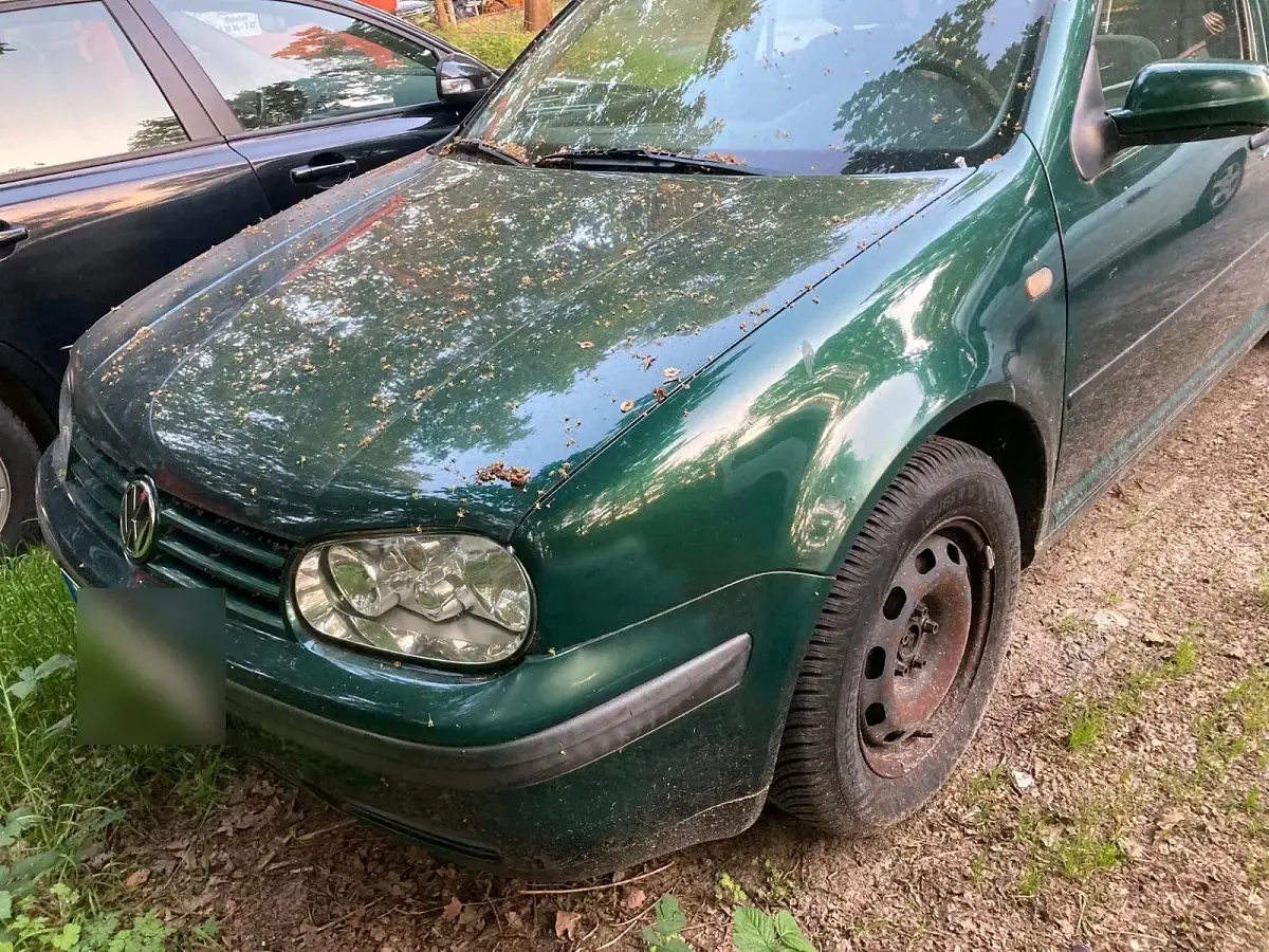 Gebraucht VW Golf III 1998 Grün Limousine
