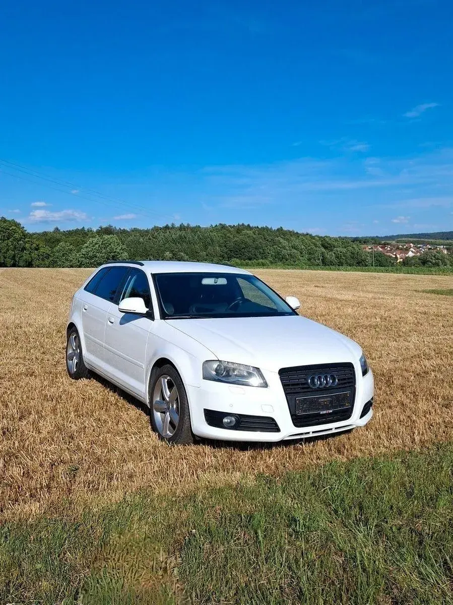 Gebraucht Audi A3 Ambition 125 PS (91 kW) 2009 Weiß Kleinwagen