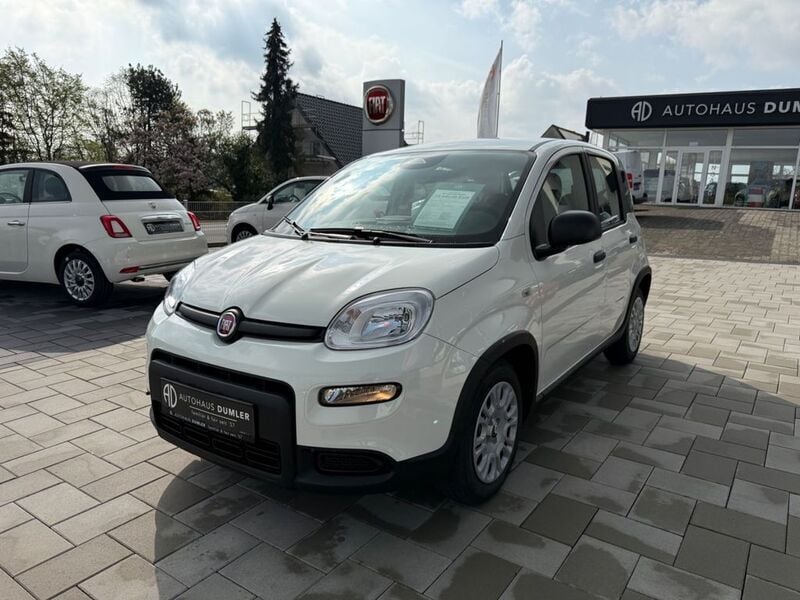 Weiß Neu 2025 Fiat Panda Kleinwagen | 14.440 € (Fairer Preis) - Bild 1/4