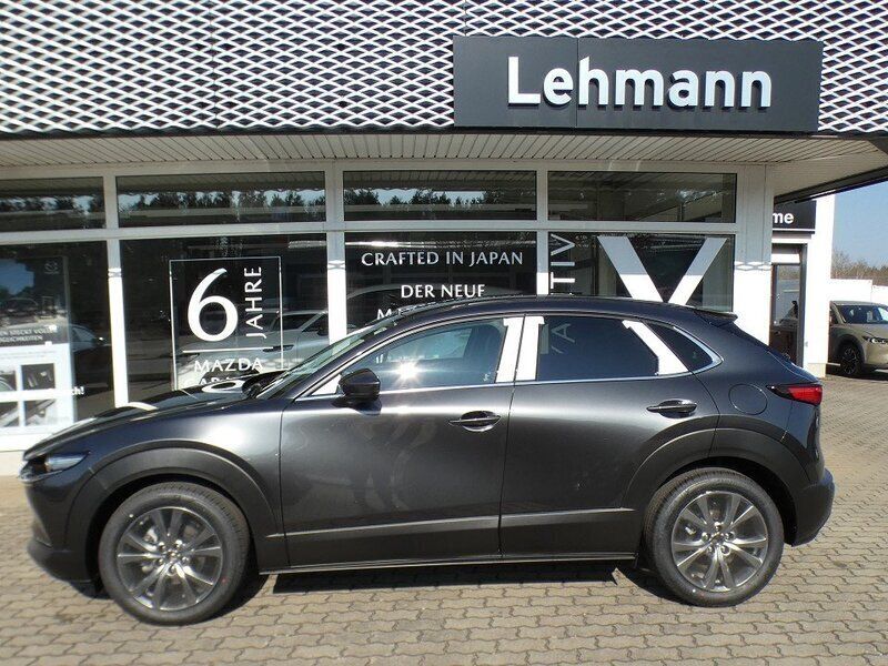 Gebraucht Mazda CX-30 Takumi-Line 186 PS (136 kW) 2024 SUV