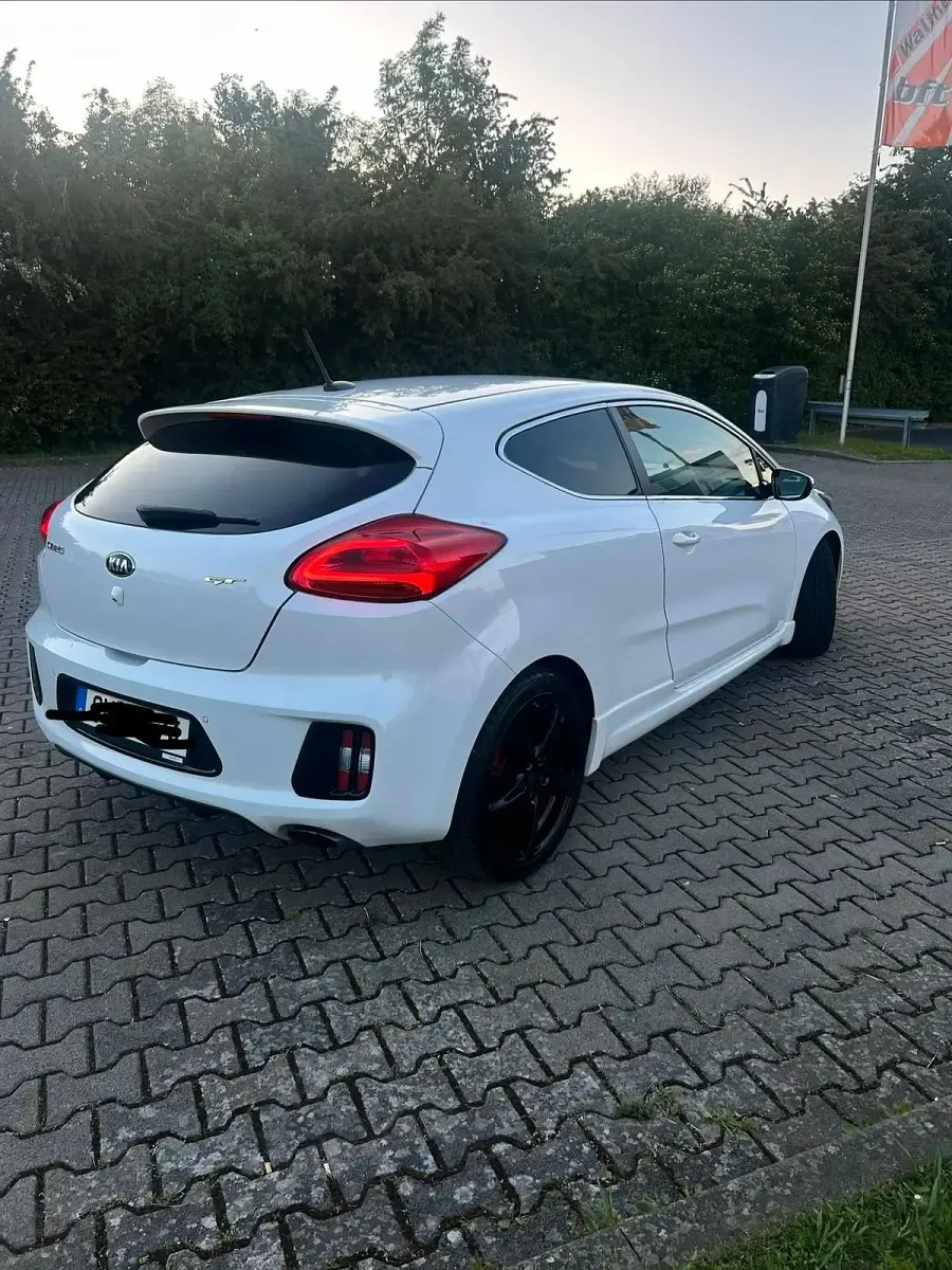 Gebraucht Kia Ceed GT-Track 204 PS (150 kW) 2014 Weiß Kleinwagen