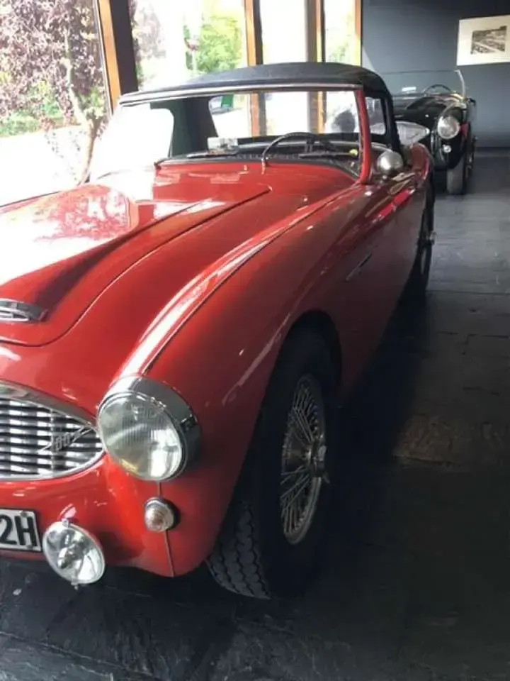 Gebraucht Austin Healey 100/6 117 PS (86 kW) 1959 Rot Cabrio