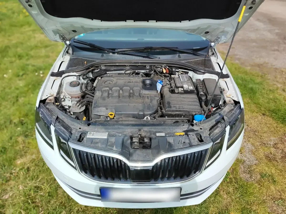 Gebraucht Skoda Octavia Style 116 PS (85 kW) 2019 Weiß Kombi