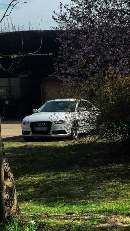 Usata Audi A5 Comfort 220 CV (161 kW) 2016 Bianco Coupé