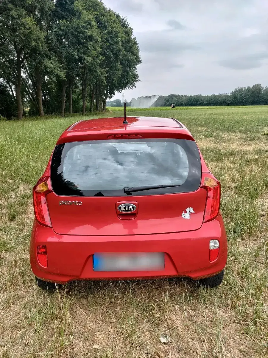 Gebraucht Kia Picanto 69 PS (50 kW) 2013 Rot Kleinwagen