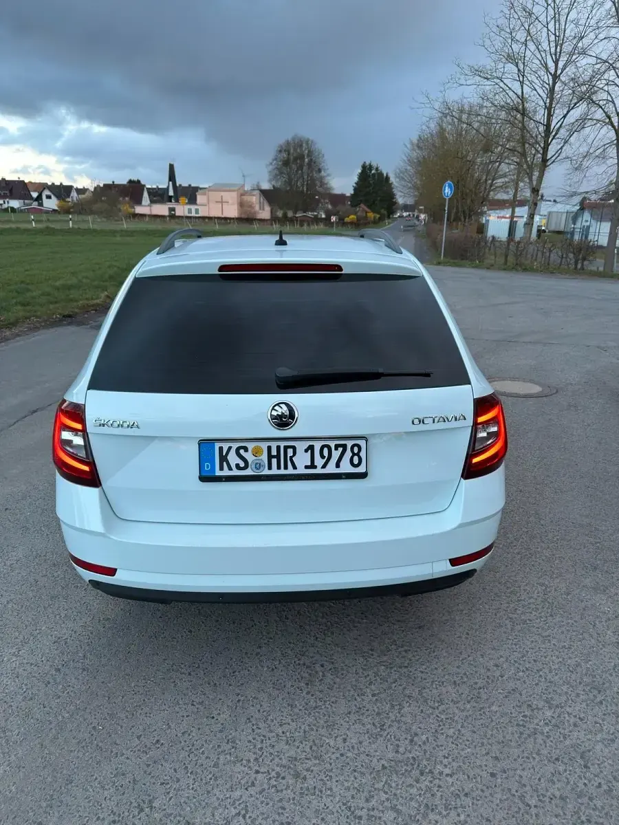 Gebraucht Skoda Octavia 150 PS (110 kW) 2017 Weiß Kombi