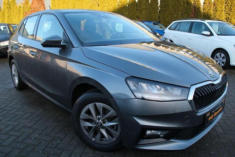 Grau Gebraucht 2025 Skoda Fabia Selection Limousine | 19.990 € (Guter Preis) - Bild 1/4