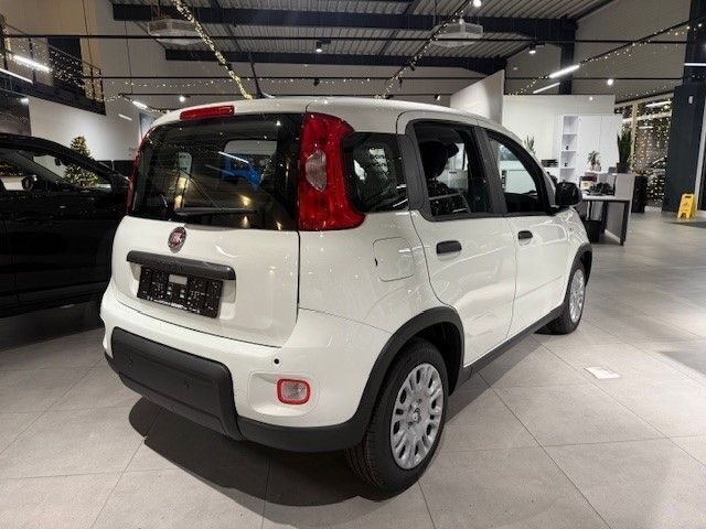 Gebraucht Fiat Panda 69 PS (50 kW) 2024 Weiss) (weiss Kleinwagen