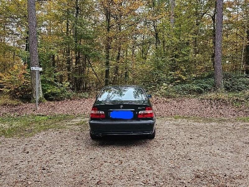 Grün Gebraucht 1999 BMW 323 Limousine | 4.000 € (Fairer Preis) - Bild 1/4