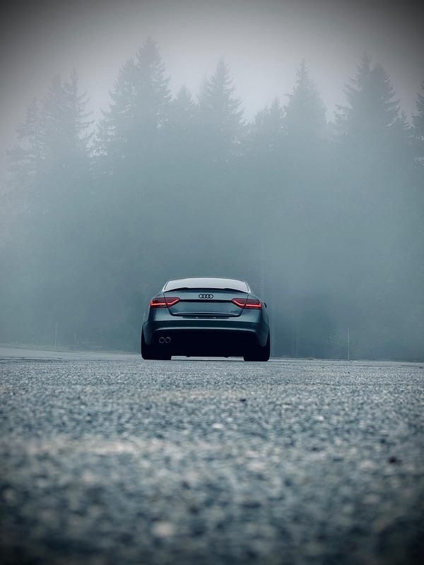 Gebraucht Audi A5 Black Edition 177 PS (130 kW) 2014 Grau Coupé