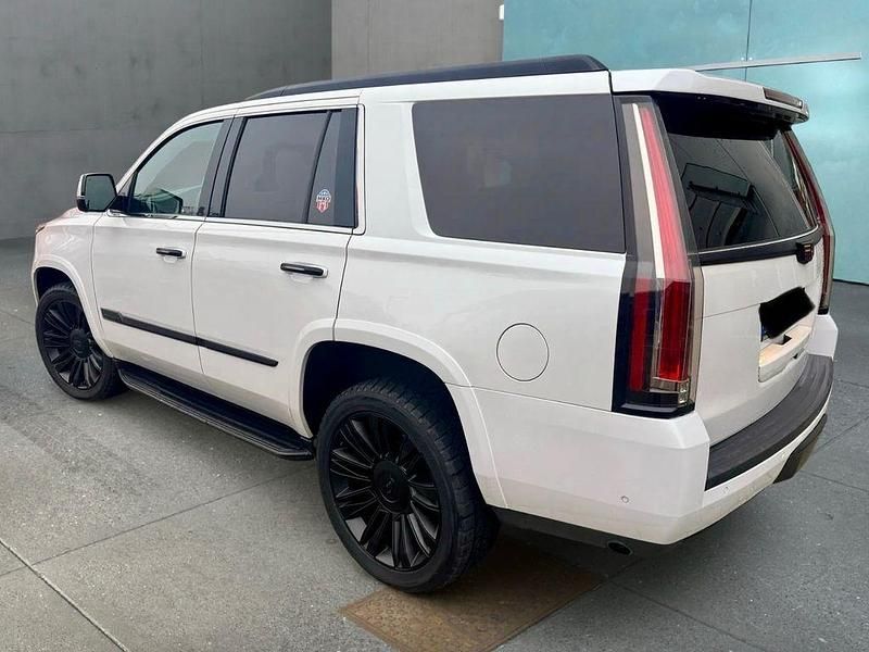 Gebraucht Cadillac Escalade 426 PS (313 kW) 2018 Weiß SUV