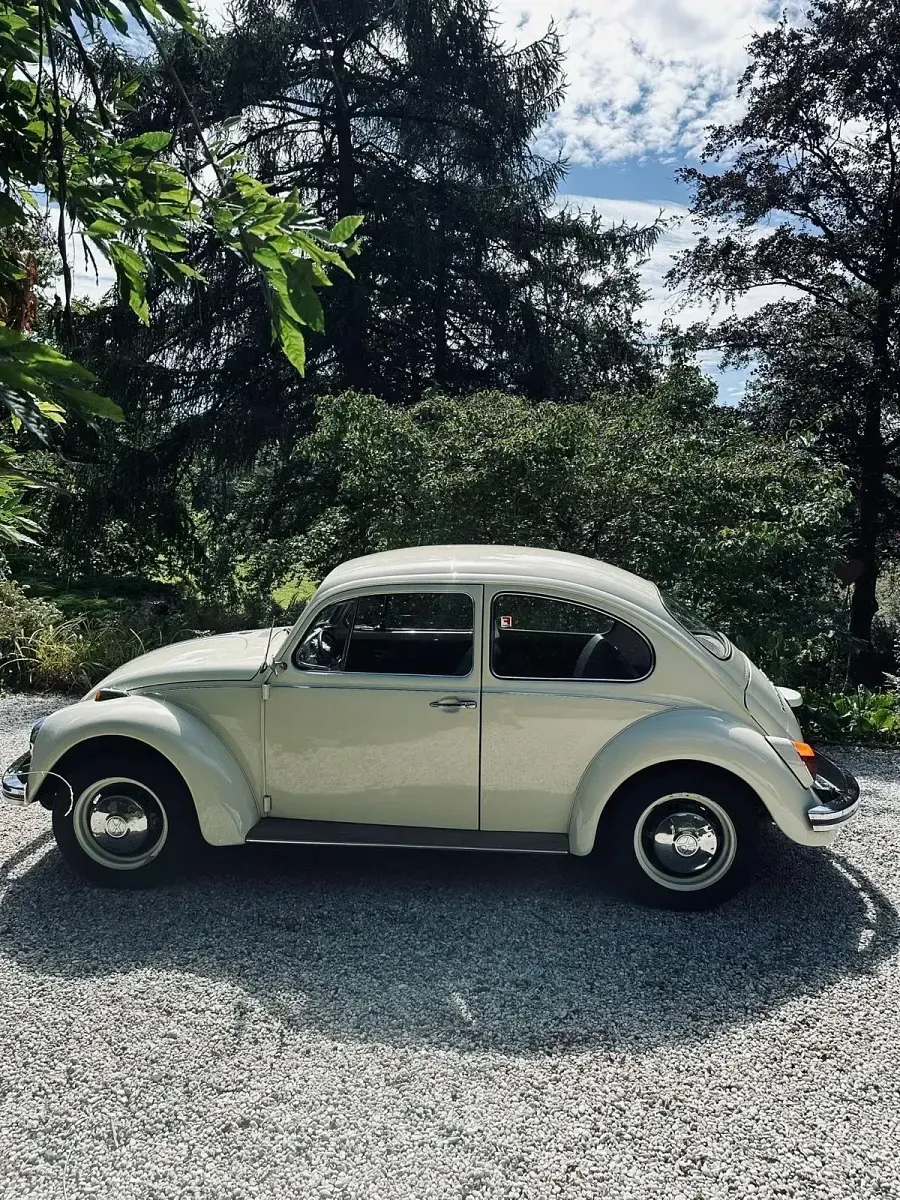Gebraucht VW Käfer 44 PS (32 kW) 1968 Limousine