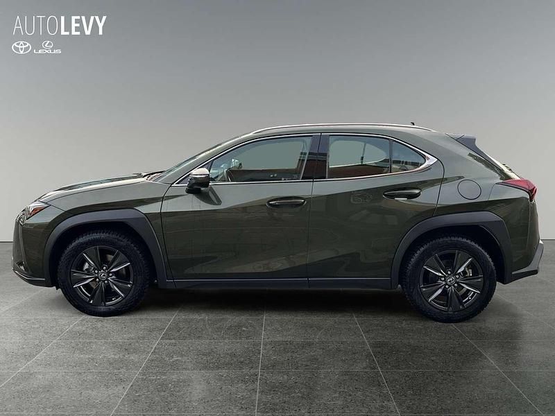Gebraucht Lexus UX 250h Executive Line 184 PS (135 kW) 2024 Grün SUV