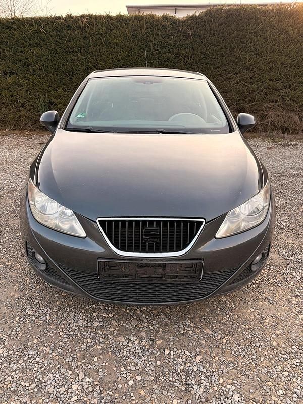 Gebraucht Seat Ibiza Stylance 86 PS (63 kW) 2010 Grau Kleinwagen