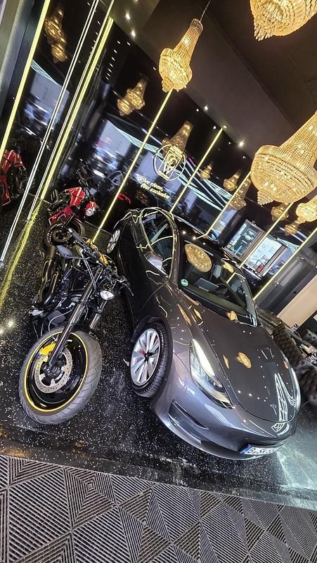 Gebraucht Tesla Model 3 Performance 377 kW (513 PS) 2019 Grau Limousine