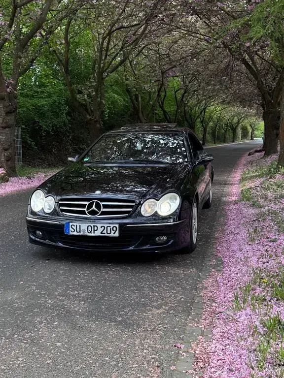 Gebraucht Mercedes CLK280 231 PS (169 kW) 2005 Schwarz Coupé