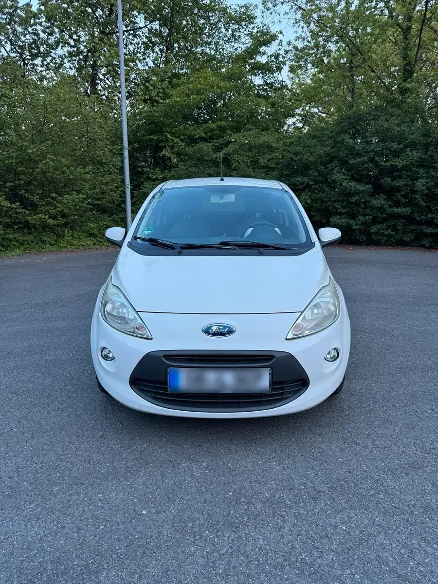 Usata Ford Ka 69 CV (50 kW) 2009 Bianco Utilitaria