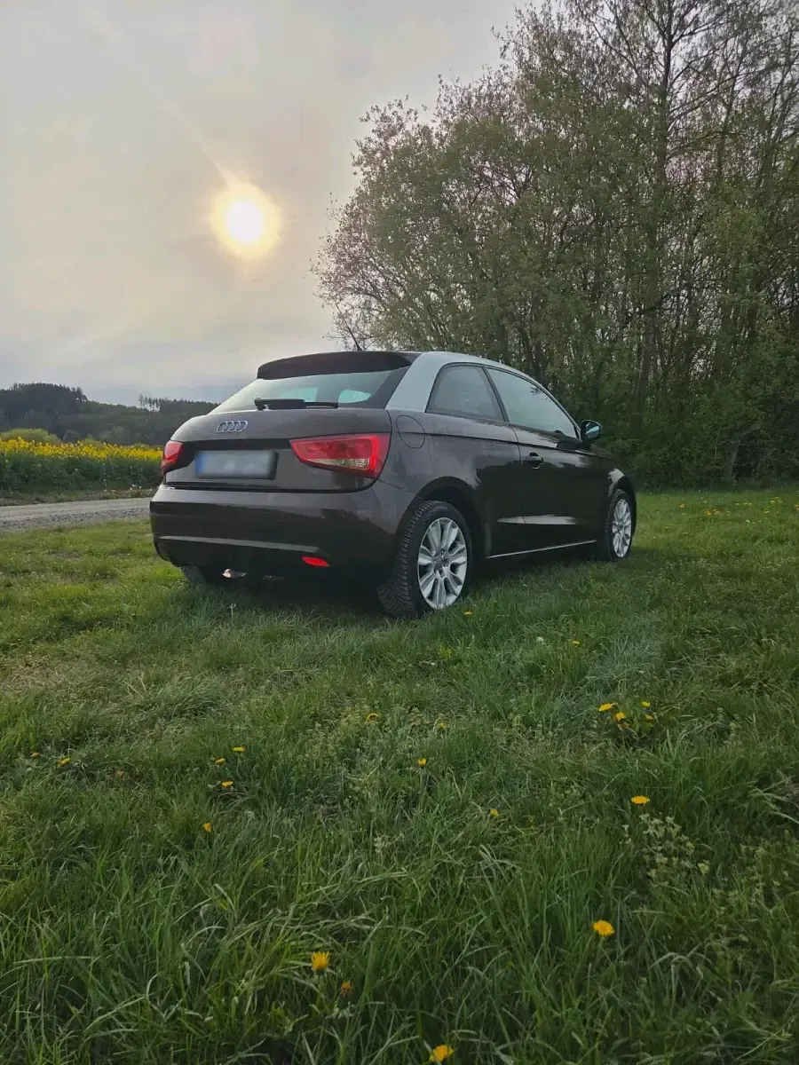 Brugt Audi A1 105 HK (77 kW) 2011 Brun Hatchback