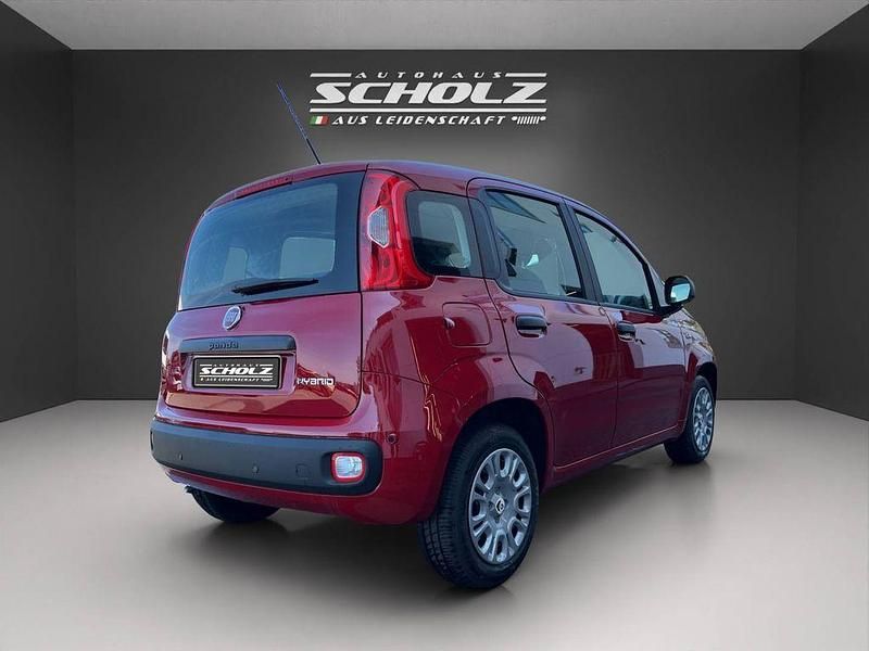 Neu Fiat Panda 69 PS (50 kW) 2025 Rot Kleinwagen