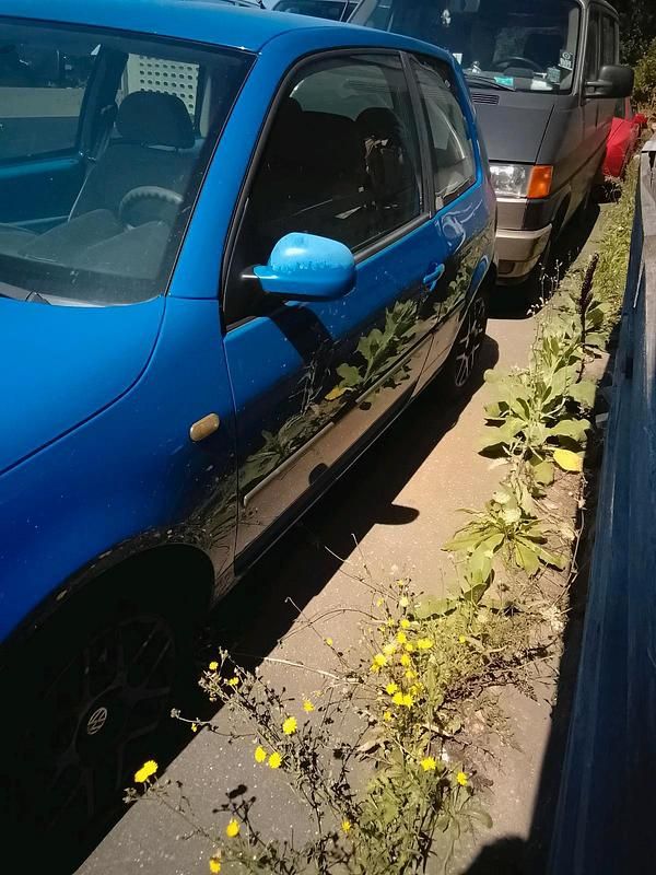Blau Gebraucht 1999 VW Lupo Kleinwagen | 300 € (Superpreis) - Bild 1/3