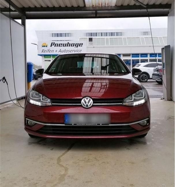Rot Gebraucht 2019 VW Golf VII IQ Drive Kleinwagen | 17.000 € (Superpreis) - Bild 1/4