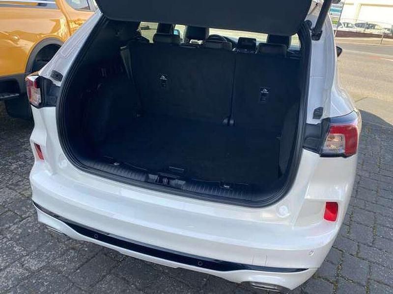 Gebraucht Ford Kuga ST-Line X 150 PS (110 kW) 2021 Arktisweiß (metallic) SUV