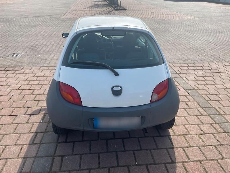 Gebraucht Ford Ka 60 PS (44 kW) 2008 Weiß Kleinwagen