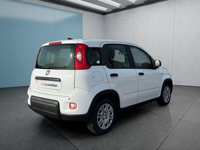 Neu Fiat Panda 69 PS (50 kW) 2025 Weiß Kleinwagen