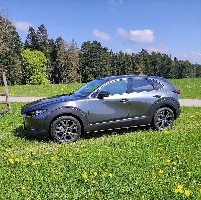 Gebraucht Mazda CX-30 Selection 179 PS (131 kW) 2019 Grau SUV