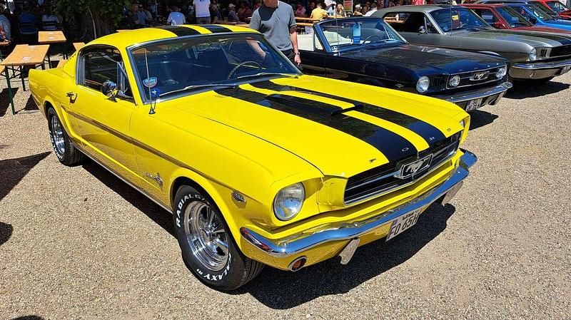 Gebraucht Ford Mustang Fastback 271 PS (199 kW) 1965 Gelb