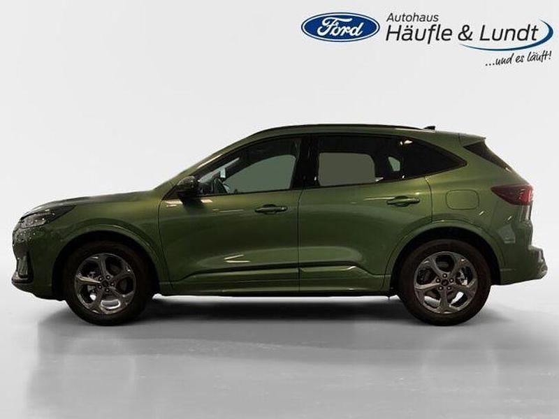 Gebraucht Ford Kuga ST-Line X 150 PS (110 kW) 2024 Bursting green SUV