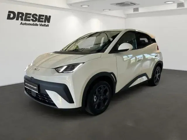 Neu BYD Dolphin Surf Active 64 kW (88 PS) 2026 Weiss Kleinwagen