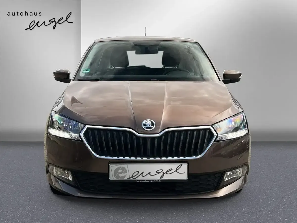 Gebraucht Skoda Fabia Cool Plus 95 PS (69 kW) 2019 Maple braun metallic Kleinwagen