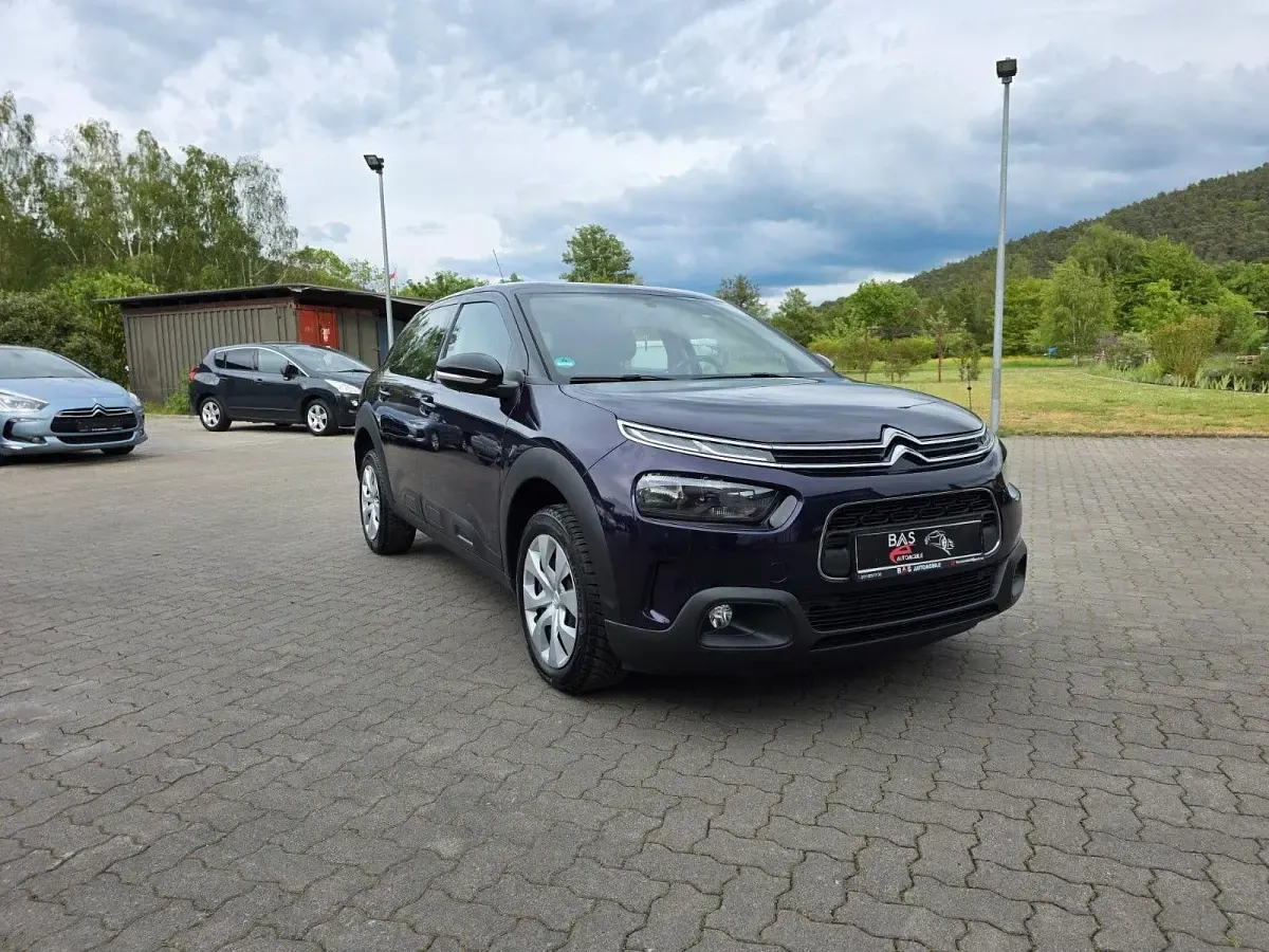 Gebraucht Citroën C4 Cactus Feel 102 PS (75 kW) 2019 Violet Kleinwagen