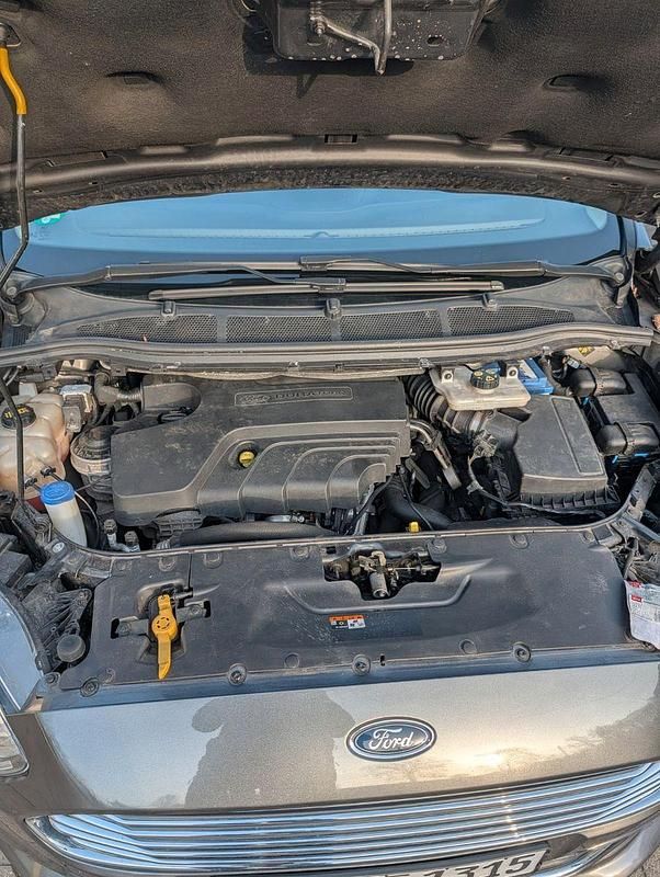 Usata Ford S-MAX Titanium 150 CV (110 kW) 2017 Grigio Monovolume