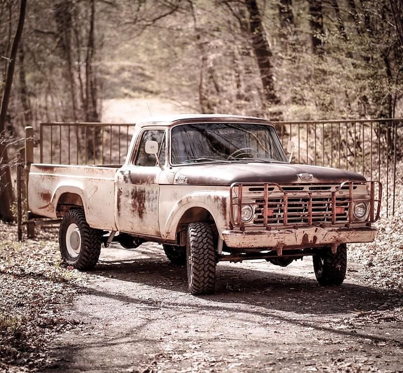 Gebraucht Ford F100 160 PS (117 kW) 1964 Beige Pickup