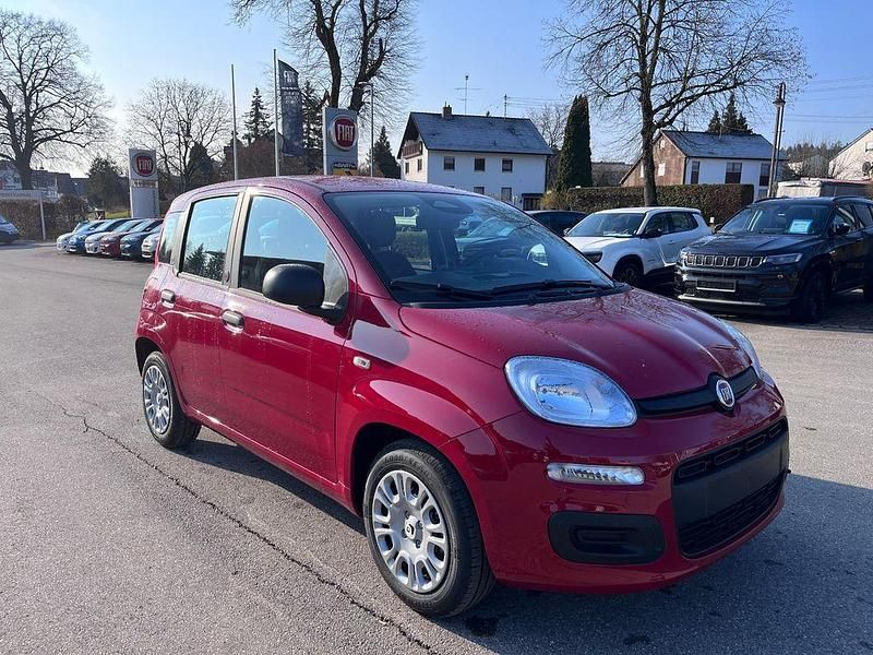 Neu Fiat Panda 65 PS (47 kW) 2026 Rot Kleinwagen