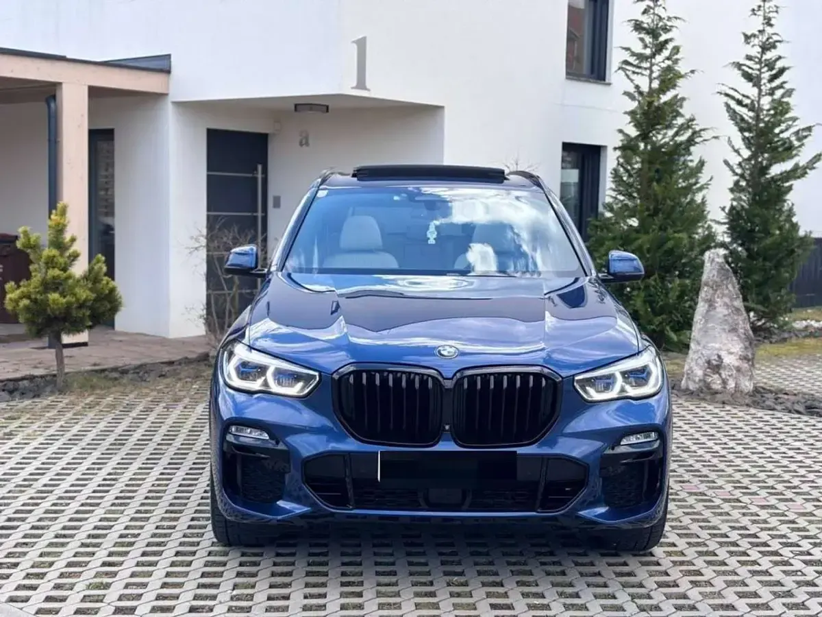 Gebraucht BMW X5 Performance 265 PS (194 kW) 2019 Blau SUV