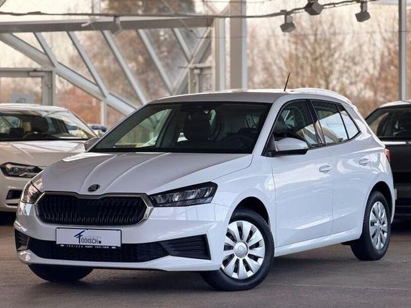 Gebraucht Skoda Fabia Active 110 PS (80 kW) 2022 Weiß Kleinwagen