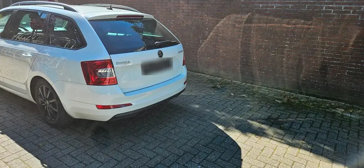 Gebraucht Skoda Octavia 110 PS (80 kW) 2016 Weiß Kombi
