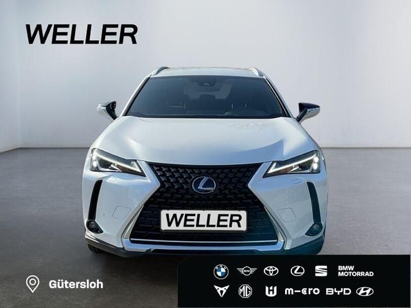 Gebraucht Lexus UX 250h 184 PS (135 kW) 2020 Titaniumweiß metallic SUV