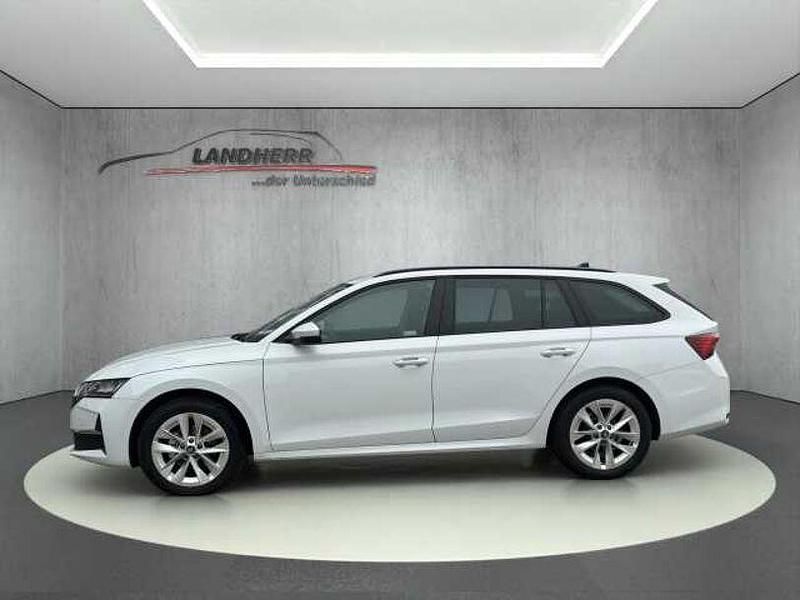 Gebraucht Skoda Octavia Selection 150 PS (110 kW) 2025 Moon weiß Kombi