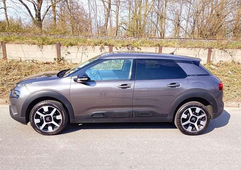 Gebraucht Citroën C4 Cactus Shine 110 PS (80 kW) 2020 Kleinwagen